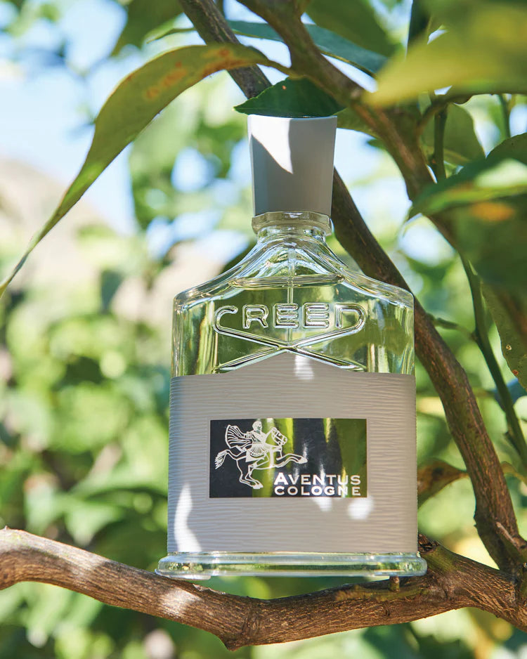 Creed Aventus cologne sample